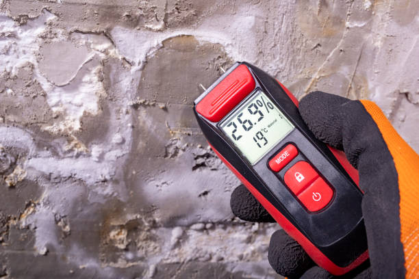 Best Water Damage Restoration  in West Point, MS