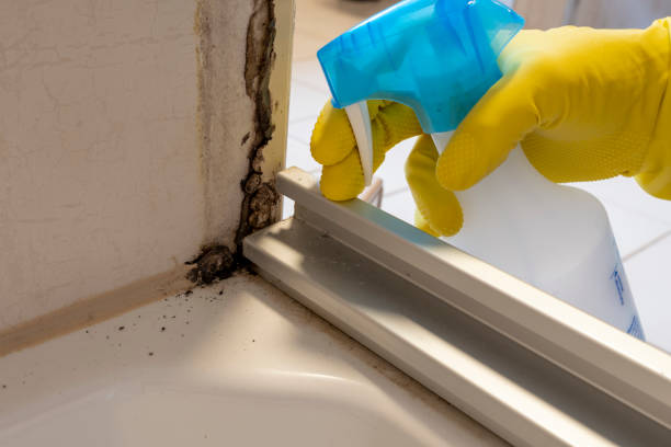 Best Mold Testing  in West Point, MS